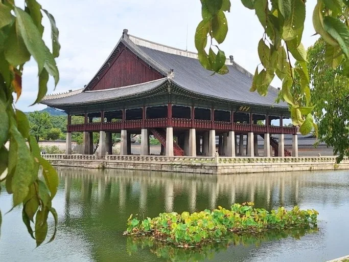 0_5c3Ud018svcyosxkcl1ai7z_hhjmnc.jpg?type=e1920_std