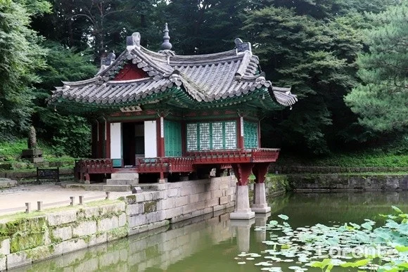 2_30cUd018svcqev0pivgz37n_hhjmnc.jpg?type=e1920_std