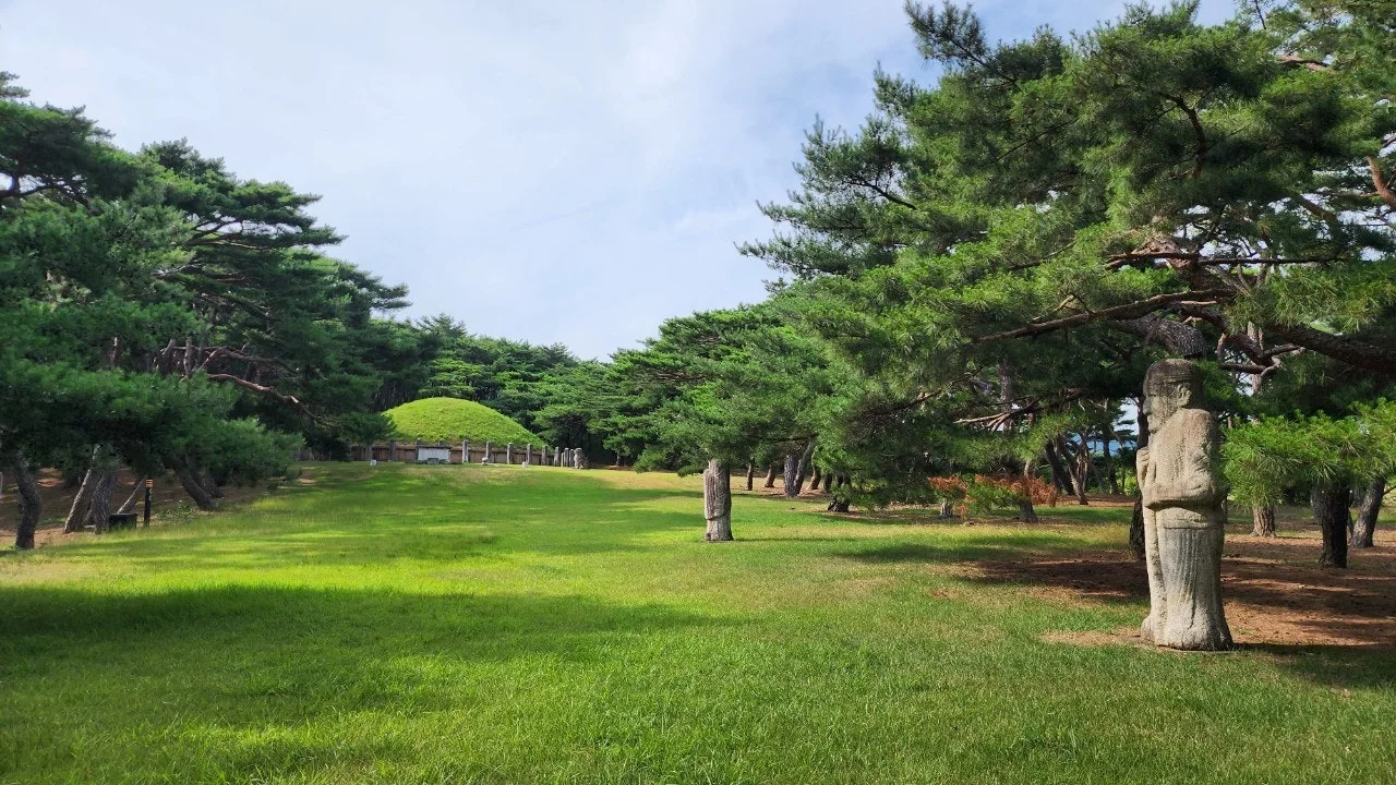 a_e28Ud018svc1m28p32e69zkf_hhjmnc.jpg?type=e1920_std