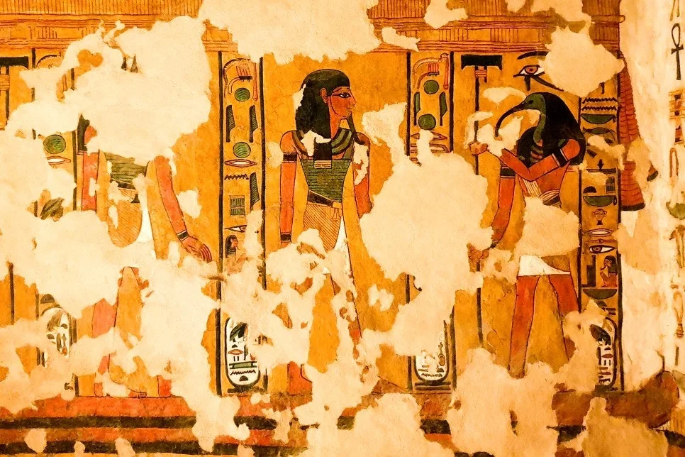 h_fa4Ud018svcpd49yqj7jqh6_hhjmnc.jpg?type=e1920_std