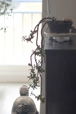 img.jpg?credential=yqXZFxpELC7KVnFOS48ylbz2pIh7yKj8&expires=1761922799&allow_ip=&allow_referer=&signature=NDdfv3L95RU%2Fab391fJdTRUyP%2Fo%3D