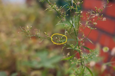 img.jpg?credential=yqXZFxpELC7KVnFOS48ylbz2pIh7yKj8&expires=1761922799&allow_ip=&allow_referer=&signature=L1aIycindIObMiBgRcQztElL1ag%3D