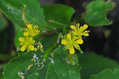 img.jpg?credential=yqXZFxpELC7KVnFOS48ylbz2pIh7yKj8&expires=1764514799&allow_ip=&allow_referer=&signature=JhPWPxAOejsfBIMYfUKIu8mo7%2FI%3D