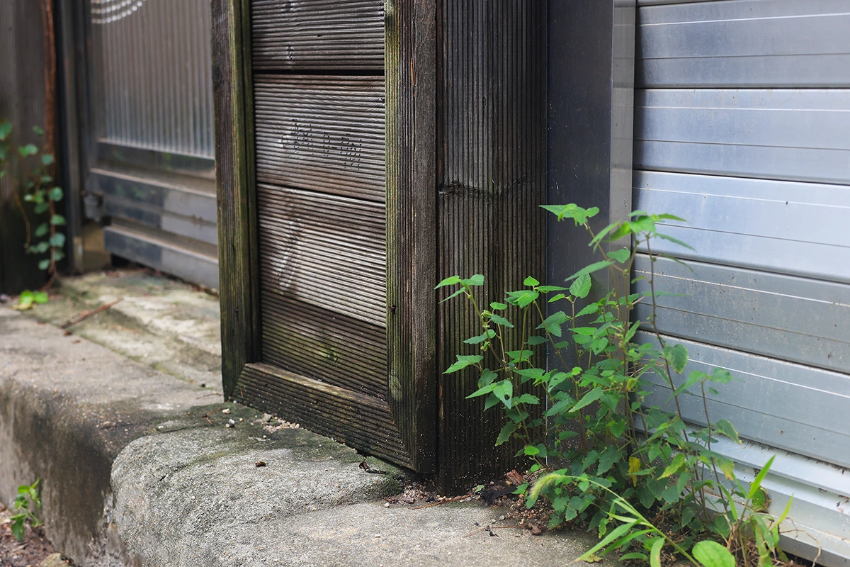 img.jpg?credential=yqXZFxpELC7KVnFOS48ylbz2pIh7yKj8&expires=1759244399&allow_ip=&allow_referer=&signature=kg0DlKdUn7dY3%2BXF8TQ2ebXkshs%3D