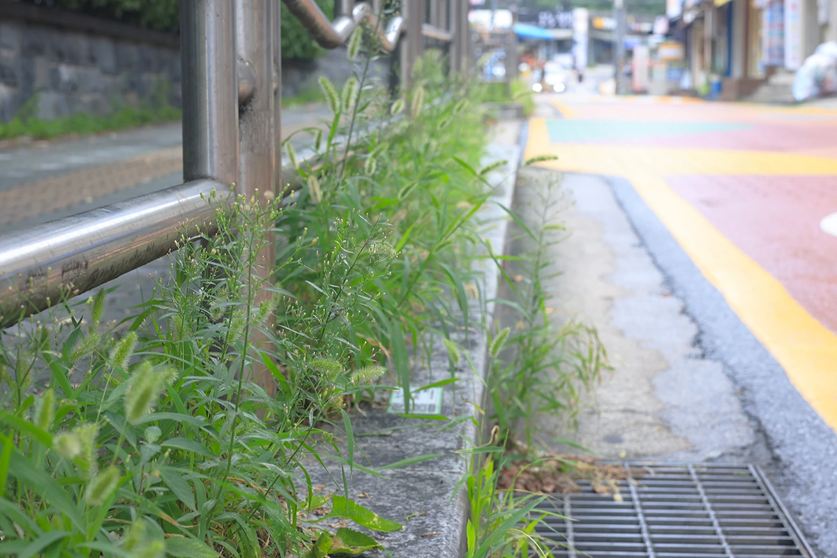 img.jpg?credential=yqXZFxpELC7KVnFOS48ylbz2pIh7yKj8&expires=1761922799&allow_ip=&allow_referer=&signature=bRsK0RHNdopth52QTLHiw%2Fiv1uI%3D