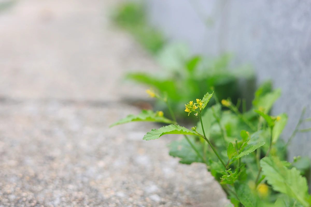 img.jpg?credential=yqXZFxpELC7KVnFOS48ylbz2pIh7yKj8&expires=1764514799&allow_ip=&allow_referer=&signature=1vPXhJfRiQkbwTic0bfhTajCb10%3D