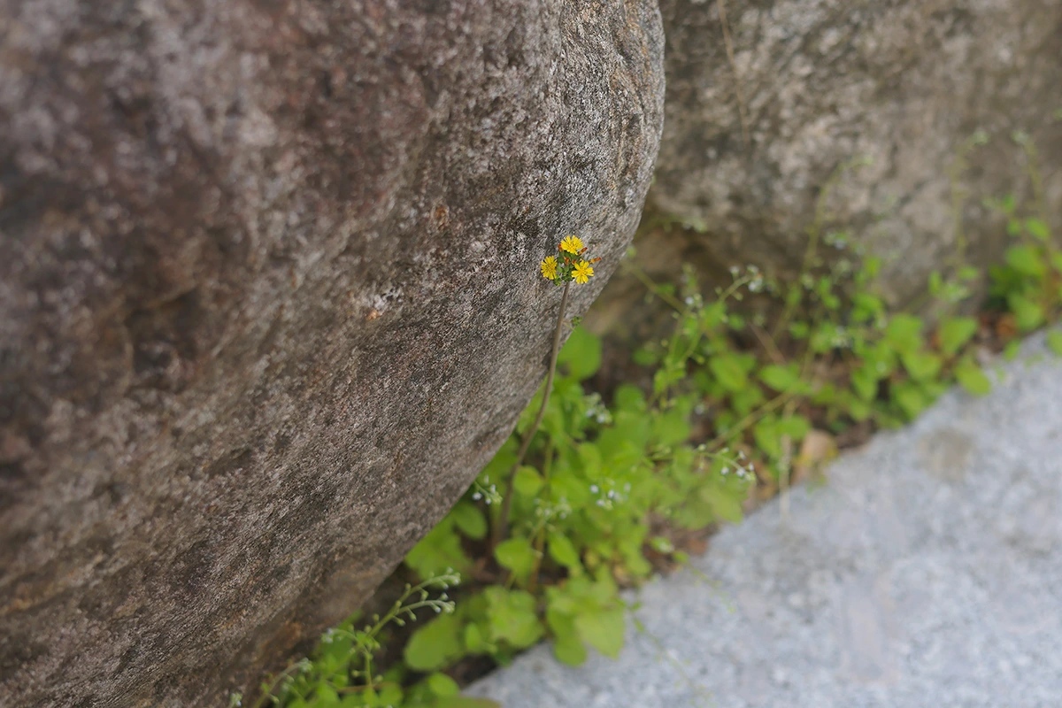 img.jpg?credential=yqXZFxpELC7KVnFOS48ylbz2pIh7yKj8&expires=1761922799&allow_ip=&allow_referer=&signature=8f516Fio%2FYiiUOhzjaFF84vePFw%3D