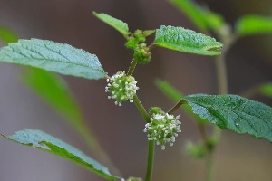 img.jpg?credential=yqXZFxpELC7KVnFOS48ylbz2pIh7yKj8&expires=1759244399&allow_ip=&allow_referer=&signature=rujN4CN9m6rnciPZs8clcOKmzhA%3D