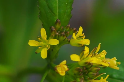 img.jpg?credential=yqXZFxpELC7KVnFOS48ylbz2pIh7yKj8&expires=1764514799&allow_ip=&allow_referer=&signature=z8LovyF4MZYYqzsHWOe80Ctab8c%3D