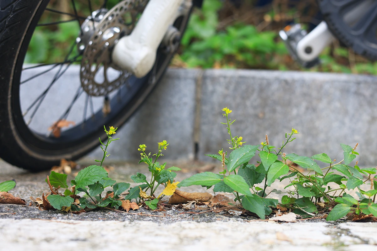 img.jpg?credential=yqXZFxpELC7KVnFOS48ylbz2pIh7yKj8&expires=1764514799&allow_ip=&allow_referer=&signature=URqZikVA%2Blj6arzBNPV3afM1UhA%3D