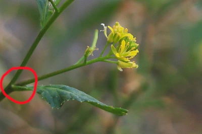 img.jpg?credential=yqXZFxpELC7KVnFOS48ylbz2pIh7yKj8&expires=1764514799&allow_ip=&allow_referer=&signature=q3mrYs%2FeQ7hVf6iL5OAAj7TkzxQ%3D