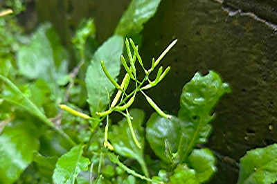 img.jpg?credential=yqXZFxpELC7KVnFOS48ylbz2pIh7yKj8&expires=1764514799&allow_ip=&allow_referer=&signature=kfjdTROhBrgMUfokVf4rofX8q4E%3D