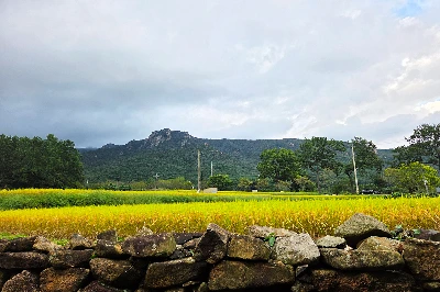 img.jpg?credential=yqXZFxpELC7KVnFOS48ylbz2pIh7yKj8&expires=1761922799&allow_ip=&allow_referer=&signature=DrJCY6hBU0aQFI%2B5itAGsagAwJ0%3D