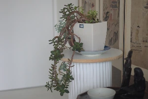 img.jpg?credential=yqXZFxpELC7KVnFOS48ylbz2pIh7yKj8&expires=1761922799&allow_ip=&allow_referer=&signature=10KFgxj7gUsv7Bt5Rk1MfkM9aWw%3D