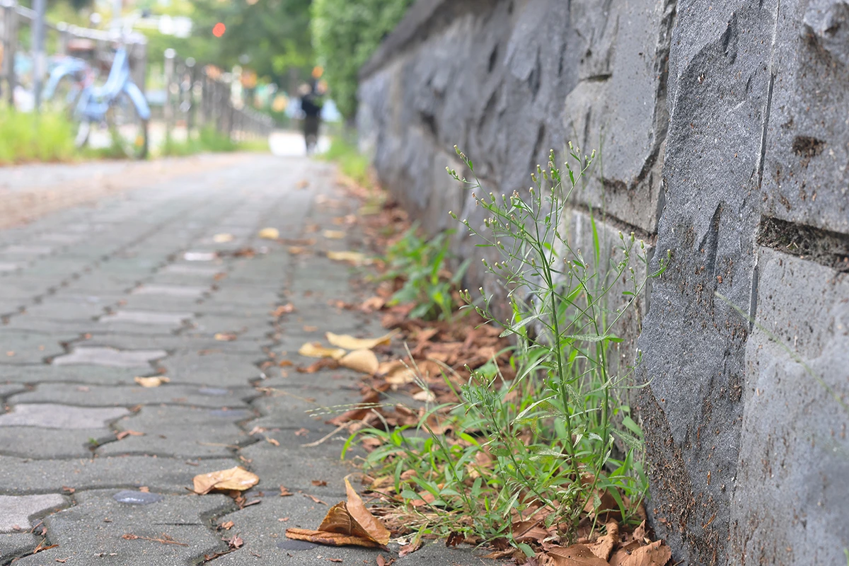 img.jpg?credential=yqXZFxpELC7KVnFOS48ylbz2pIh7yKj8&expires=1761922799&allow_ip=&allow_referer=&signature=H7%2FKrdnUJQqdCMmkaWYLaawXl9Y%3D