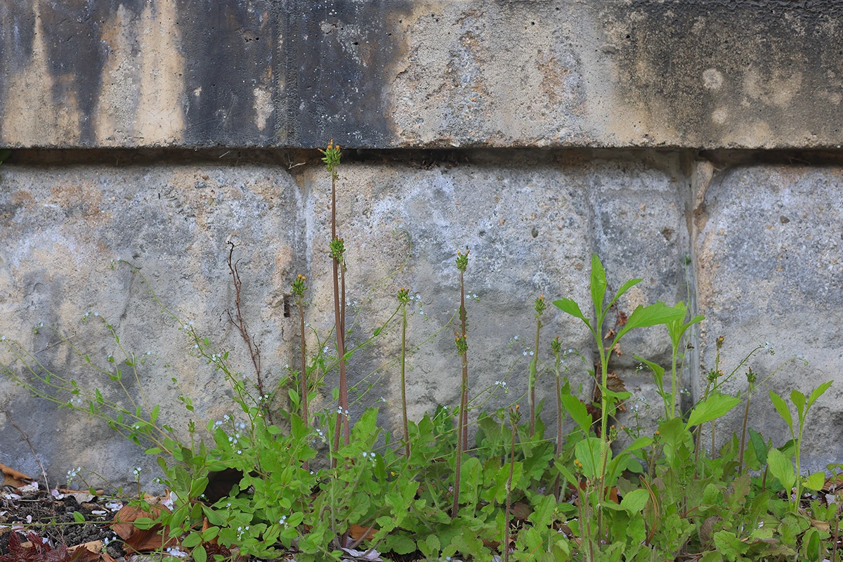 img.jpg?credential=yqXZFxpELC7KVnFOS48ylbz2pIh7yKj8&expires=1761922799&allow_ip=&allow_referer=&signature=QtMYZIIpIQPp%2FV63wqdeOdBdmnE%3D