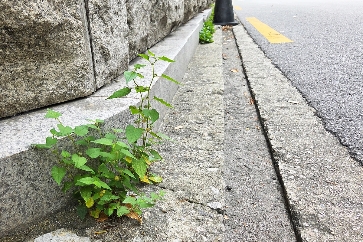 img.jpg?credential=yqXZFxpELC7KVnFOS48ylbz2pIh7yKj8&expires=1759244399&allow_ip=&allow_referer=&signature=2DI%2BXPV%2FPm9oQEOdCQ6LcayEtlw%3D