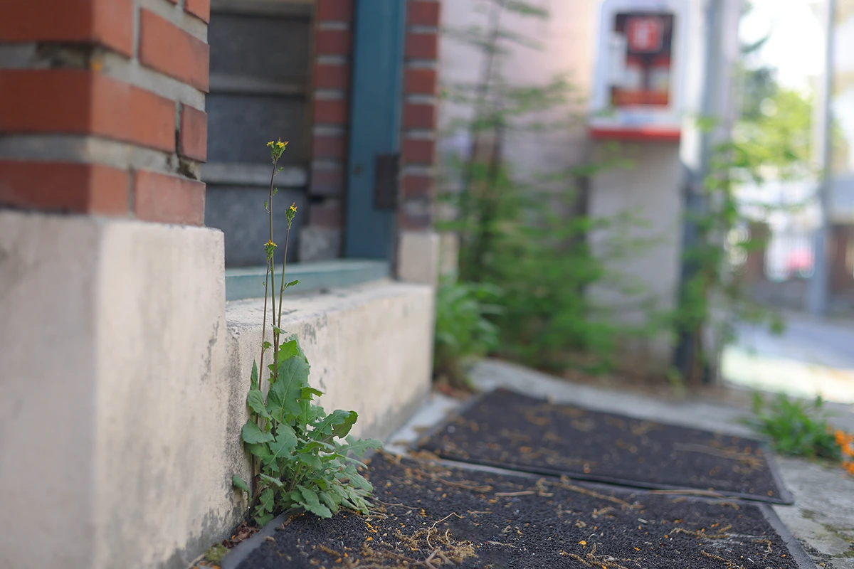 img.jpg?credential=yqXZFxpELC7KVnFOS48ylbz2pIh7yKj8&expires=1761922799&allow_ip=&allow_referer=&signature=BNz%2BBa1Q3j9ie1Qi6ygBWREZzSA%3D