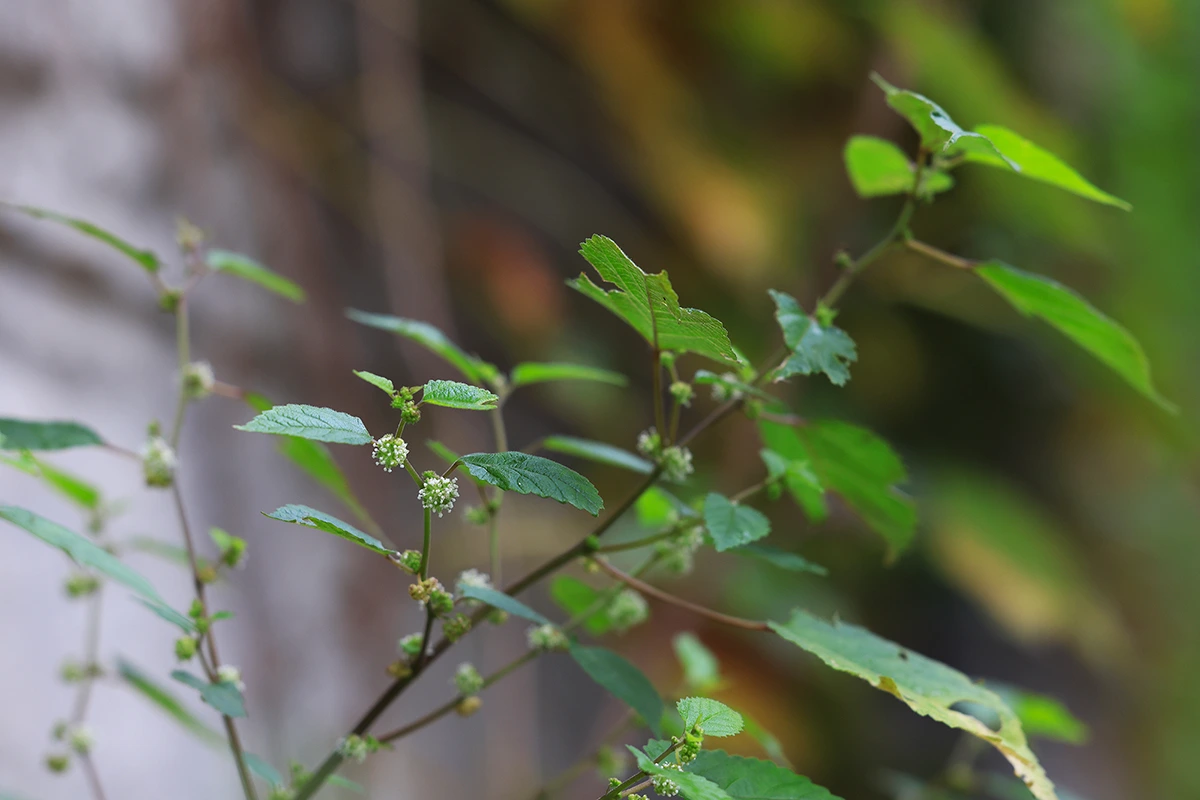 img.jpg?credential=yqXZFxpELC7KVnFOS48ylbz2pIh7yKj8&expires=1759244399&allow_ip=&allow_referer=&signature=j9rVqV5EFWUl%2FIRY4Sl6YdBUSZ0%3D