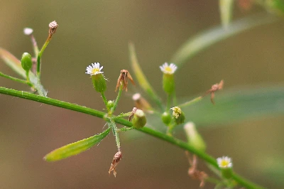 img.jpg?credential=yqXZFxpELC7KVnFOS48ylbz2pIh7yKj8&expires=1761922799&allow_ip=&allow_referer=&signature=Q2imV1XUv%2FXk8HRklW2juA2TRXw%3D