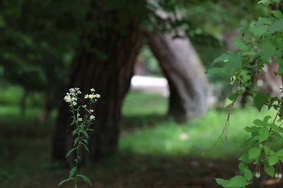 img.jpg?credential=yqXZFxpELC7KVnFOS48ylbz2pIh7yKj8&expires=1761922799&allow_ip=&allow_referer=&signature=hYEJS8Dg2Nx8a5tkqU4aFLYq83c%3D