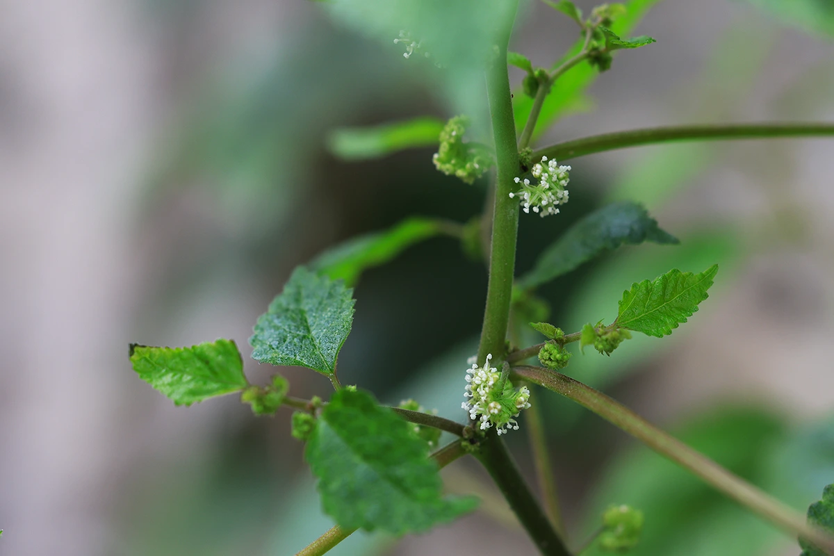 img.jpg?credential=yqXZFxpELC7KVnFOS48ylbz2pIh7yKj8&expires=1759244399&allow_ip=&allow_referer=&signature=EbGAp4%2BEfjo9iOWJ9mXiTSycEsc%3D