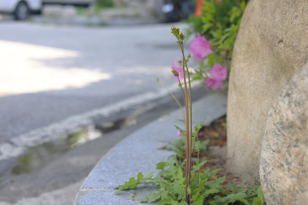 img.jpg?credential=yqXZFxpELC7KVnFOS48ylbz2pIh7yKj8&expires=1761922799&allow_ip=&allow_referer=&signature=jy3Jrq%2BjM%2Fz6zXpaNqd5namzVRc%3D