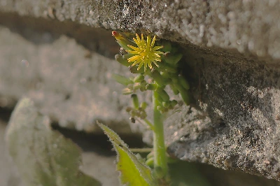 img.jpg?credential=yqXZFxpELC7KVnFOS48ylbz2pIh7yKj8&expires=1761922799&allow_ip=&allow_referer=&signature=BsrK41EvizJIVyNtwira88YSdkI%3D