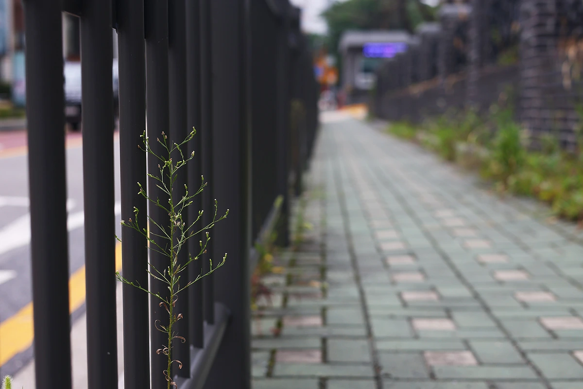 img.jpg?credential=yqXZFxpELC7KVnFOS48ylbz2pIh7yKj8&expires=1761922799&allow_ip=&allow_referer=&signature=woLzMH9G30AKSalybsXiyFGOPPA%3D