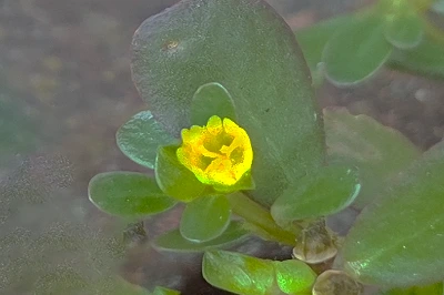 img.jpg?credential=yqXZFxpELC7KVnFOS48ylbz2pIh7yKj8&expires=1761922799&allow_ip=&allow_referer=&signature=jrdt6CHbFtDXX7322ULrvaNEdn0%3D