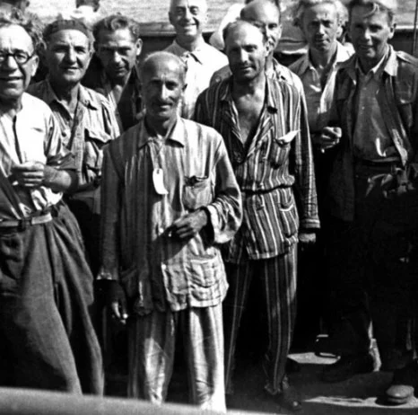 output_107464715.jpg?type=w466