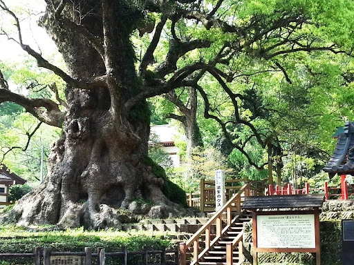 w9UxKIDDcSQWkZPWFEJUm4m-x1roGr2ckAFiTukwkc043Cb_300EbGGgu5FzPg65KRqzKPVboWIYBHfvMUMJay1SFxKblSR_wbDLzMx8AJIOyP-jU2f_PZ_2