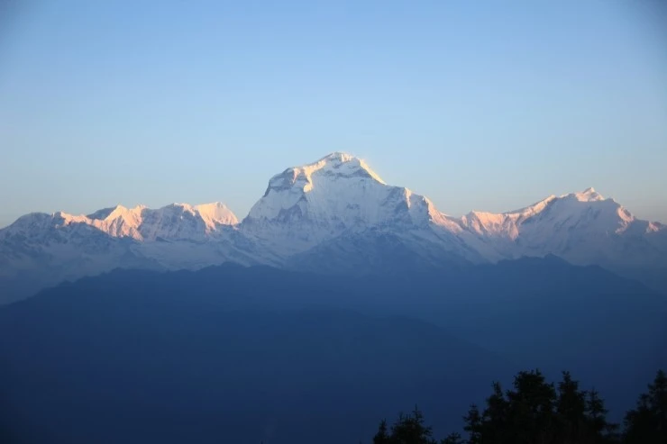 %ED%91%BC%ED%9E%90_rqqltxpt.jpg?type=w1