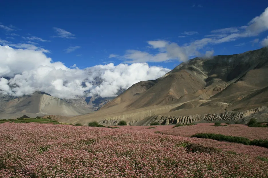 %EC%A2%80%EC%8A%B4_%EA%B0%80%EB%8A%94%EA%B8%B8.JPG?type=w1