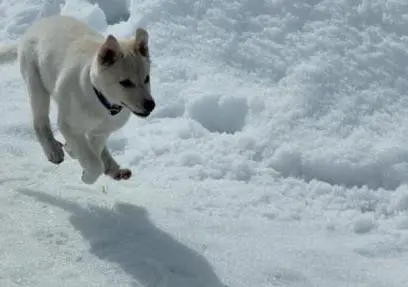 %EA%B0%95%EC%95%84%EC%A7%80.jpg?type=w1