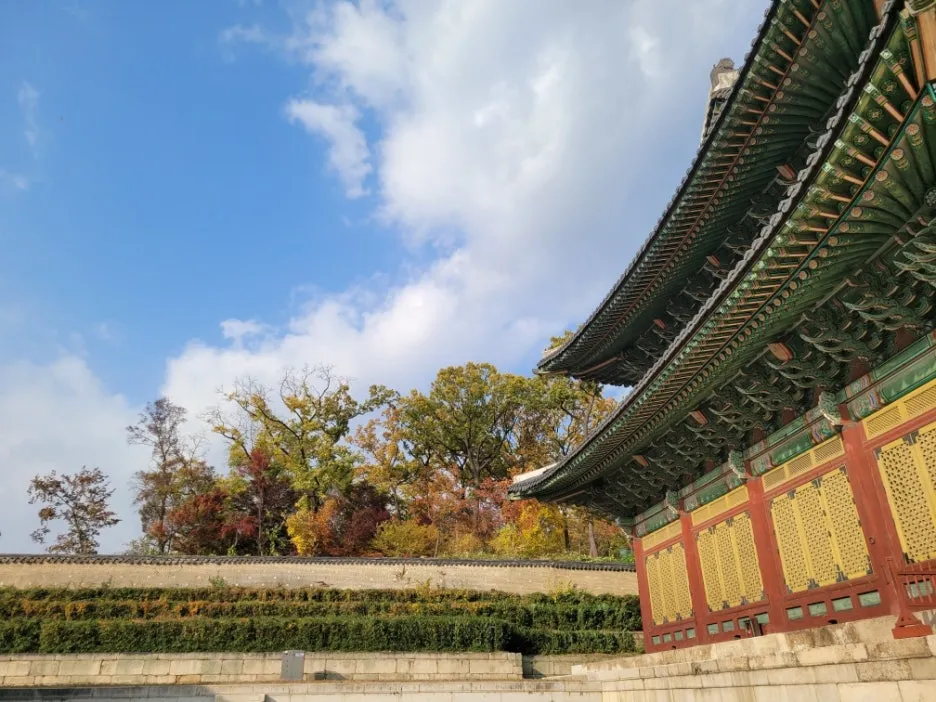 Resized_20251109_150050.jpg?type=w1