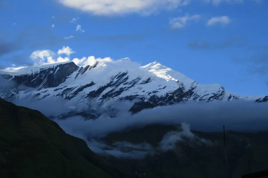 %EB%8B%A4%EC%9A%B8%EB%9D%BC%EA%B8%B0%EB%A6%AC-%EB%A0%88%EB%96%BC%EC%97%90%EC%84%9C.JPG?type=w1