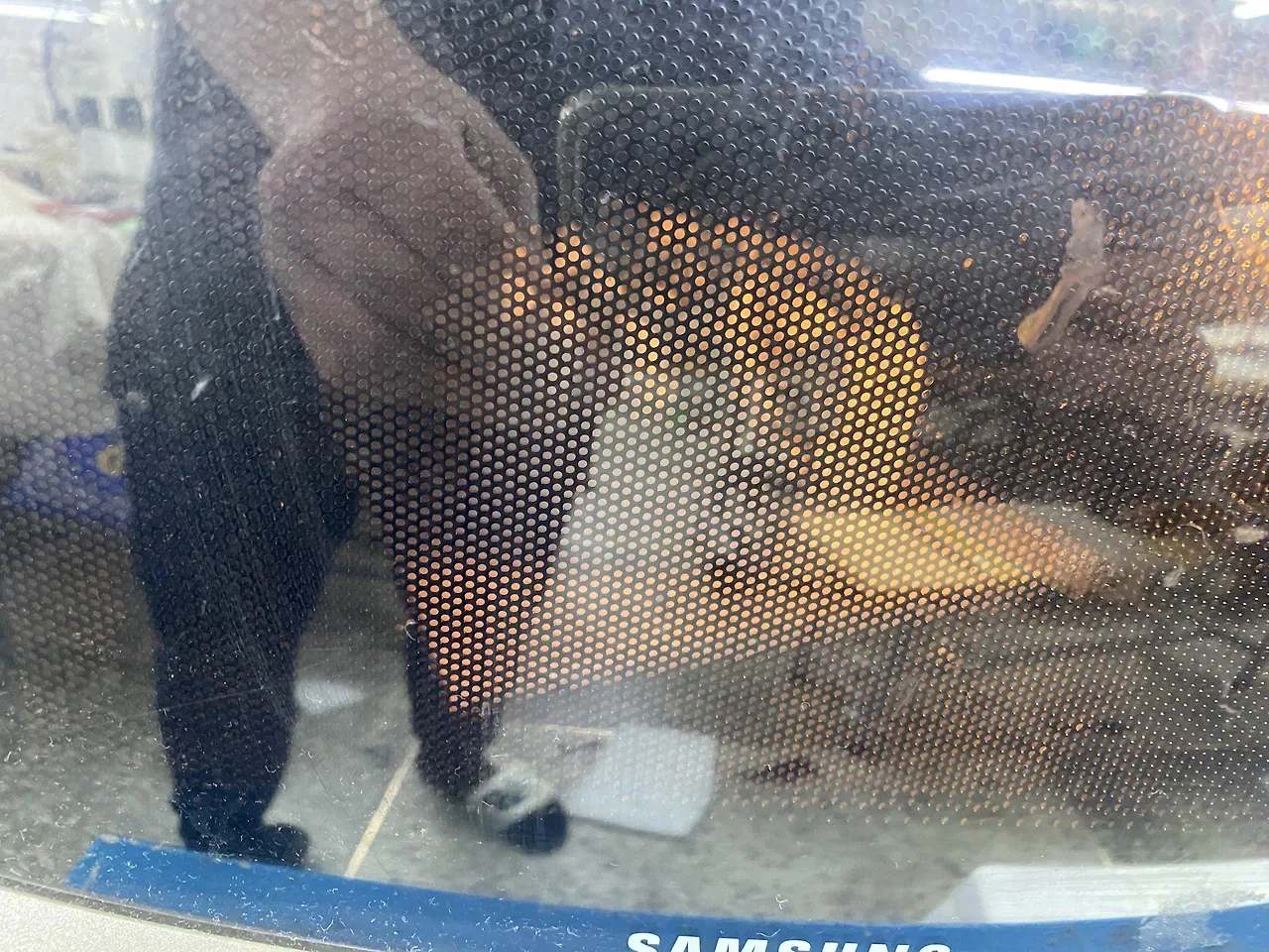 ?fname=https%3A%2F%2Fst.kakaocdn.net%2Fproduct_review%2Fgift%2Freview%2F2136ea30d93544fb10e7ed4537c83cce0450c73f