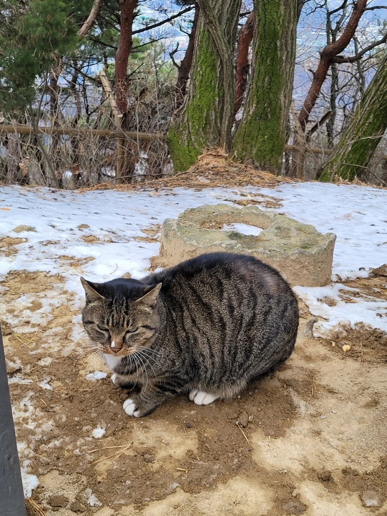 Resized_20251206_143336.jpg?type=w1