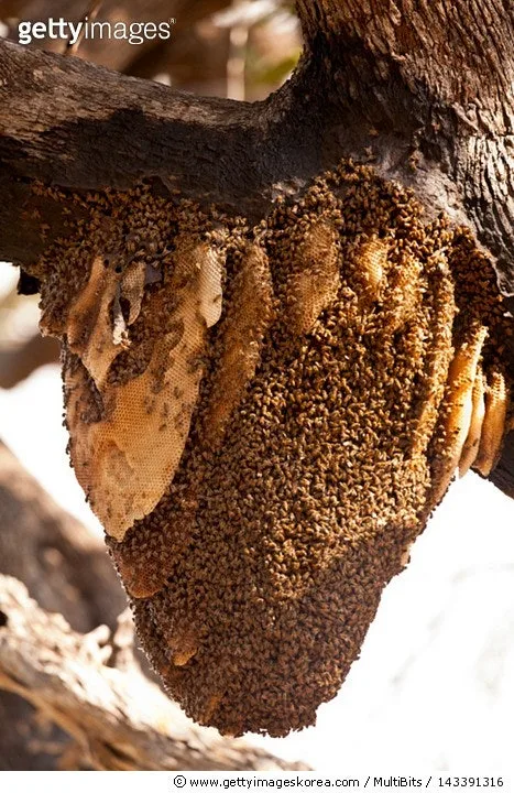 %EB%8B%A4%EC%9A%B4%EB%A1%9C%EB%93%9C.jpg?type=w1