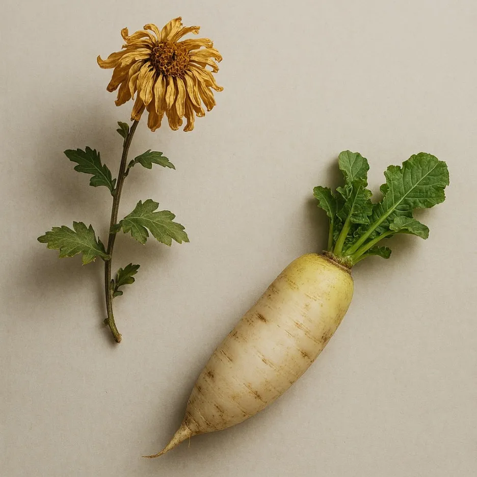 Designer.jpg?type=w1