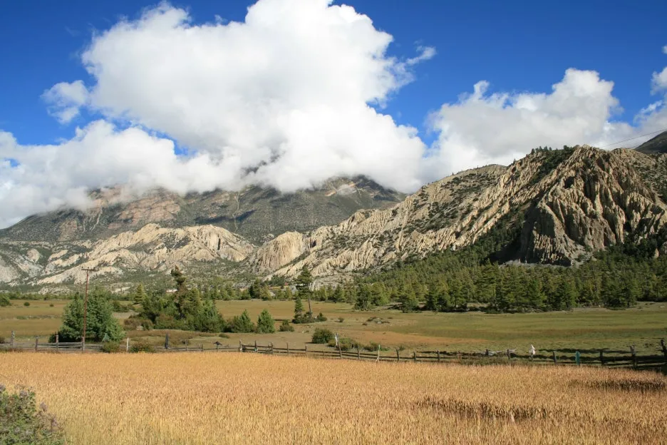 %EB%A7%88%EB%82%AD%EA%B0%80%EB%8A%94%EA%B8%B8.JPG?type=w1