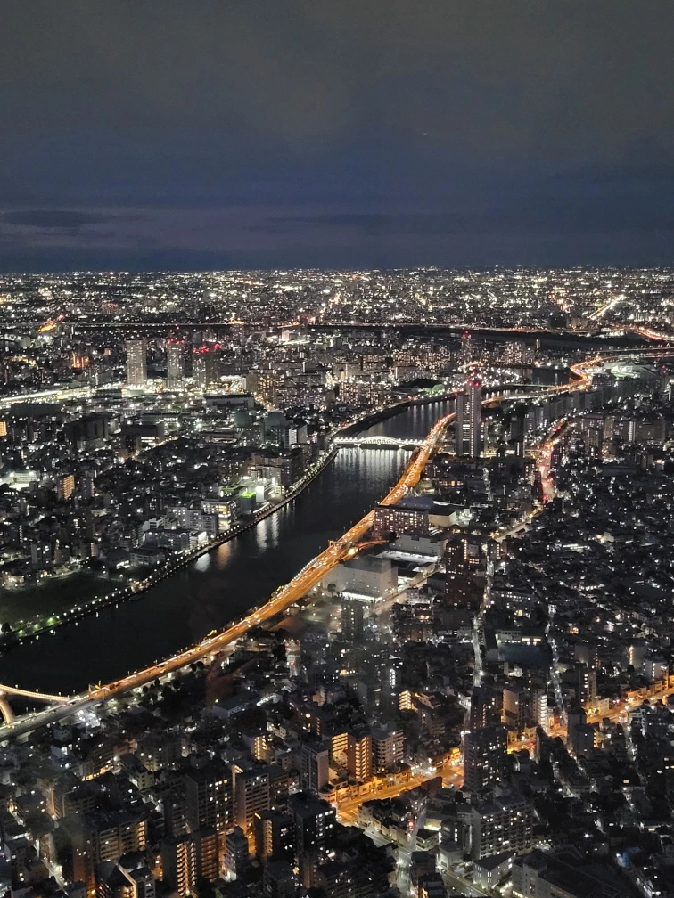 %EB%8F%84%EC%BF%84%ED%8A%B8%EB%A6%AC_20250221_180015.jpg?type=w1