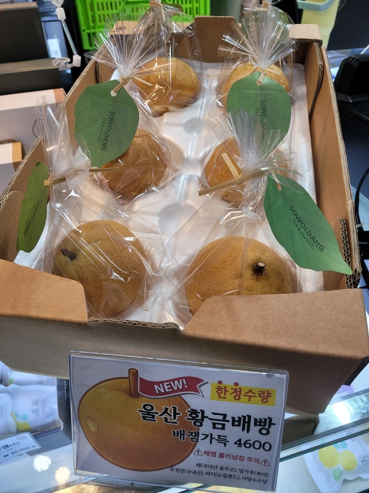 %EB%A7%A4%EB%84%88_Resized_20250707_182123.jpg?type=w1