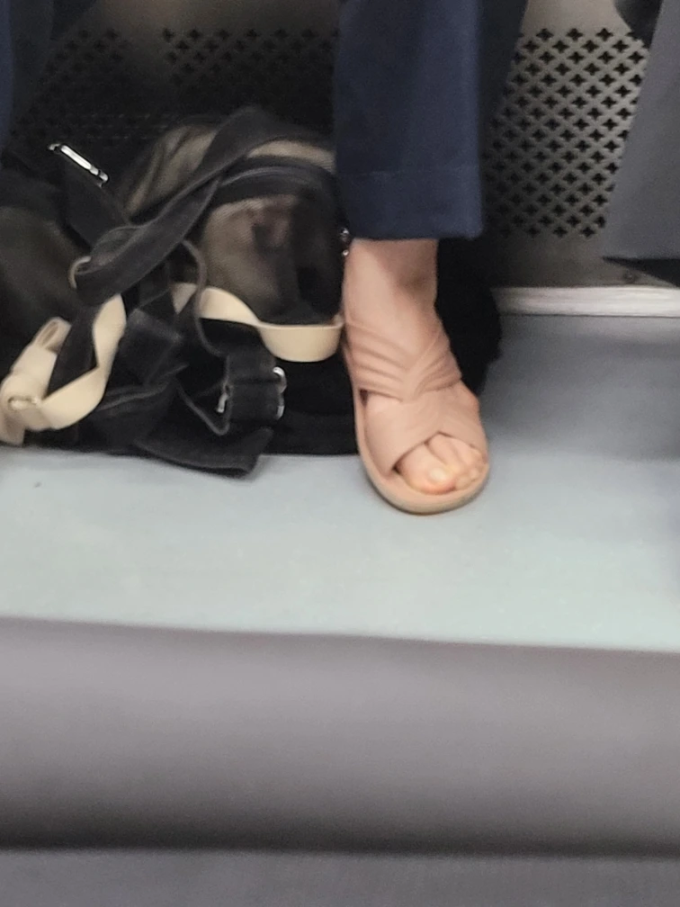 Resized_20250724_073441.jpg?type=w1