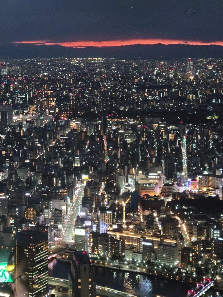 %EB%8F%84%EC%BF%84%ED%8A%B8%EB%A6%AC_20250221_175724.jpg?type=w1