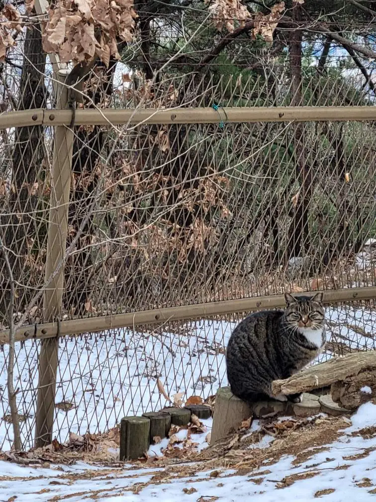 Resized_20251206_143226.jpg?type=w1