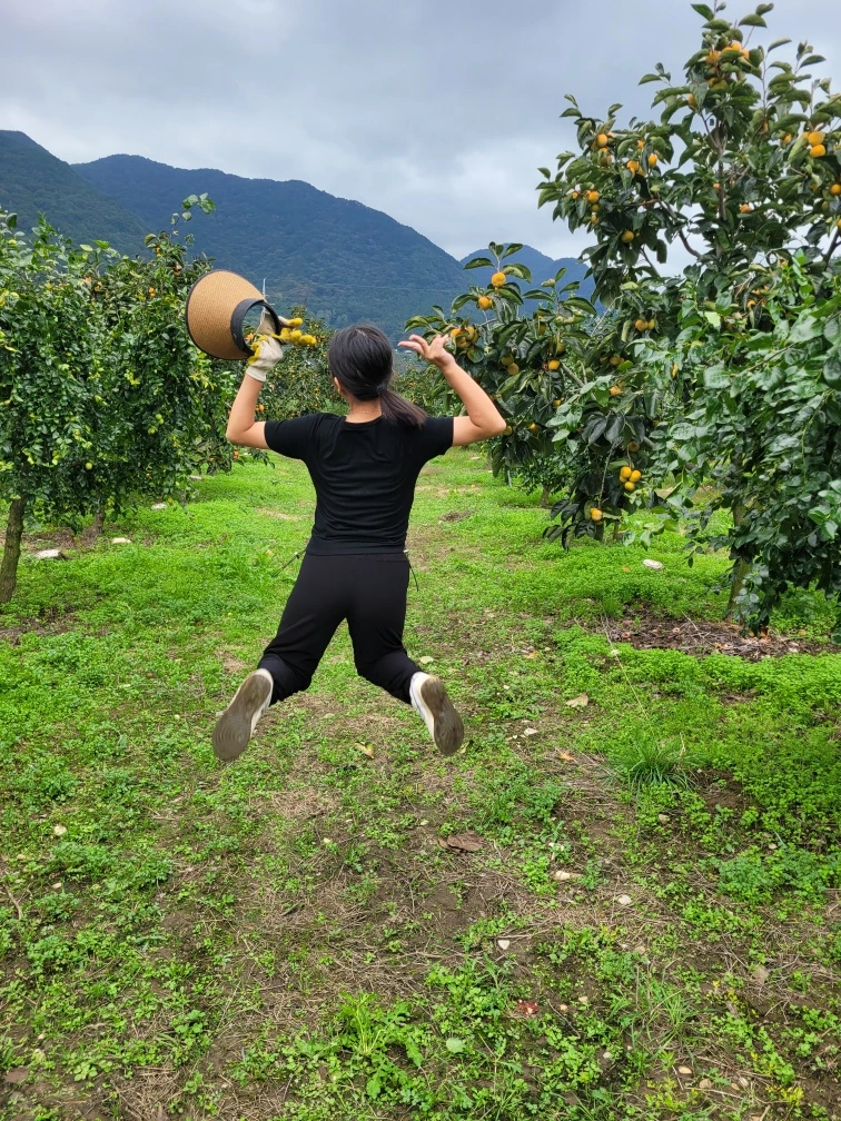 %EC%B2%AD%EB%8F%84_Resized_20251008_151436.jpg?type=w1