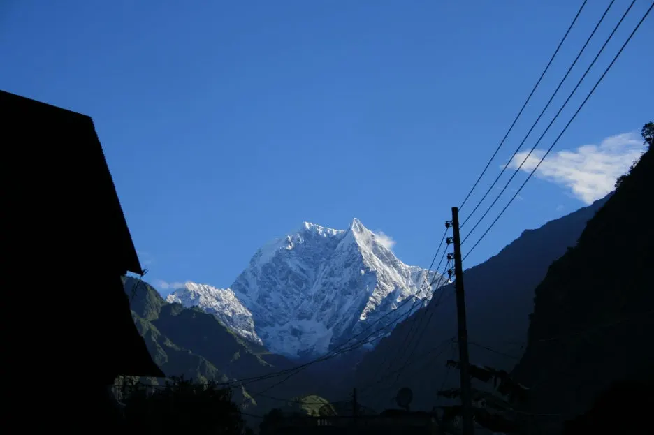 %EB%8B%90%EA%B8%B0%EB%A6%AC-%ED%83%80%ED%86%A0%ED%8C%8C%EB%8B%88%EC%97%90%EC%84%9C.JPG?type=w1