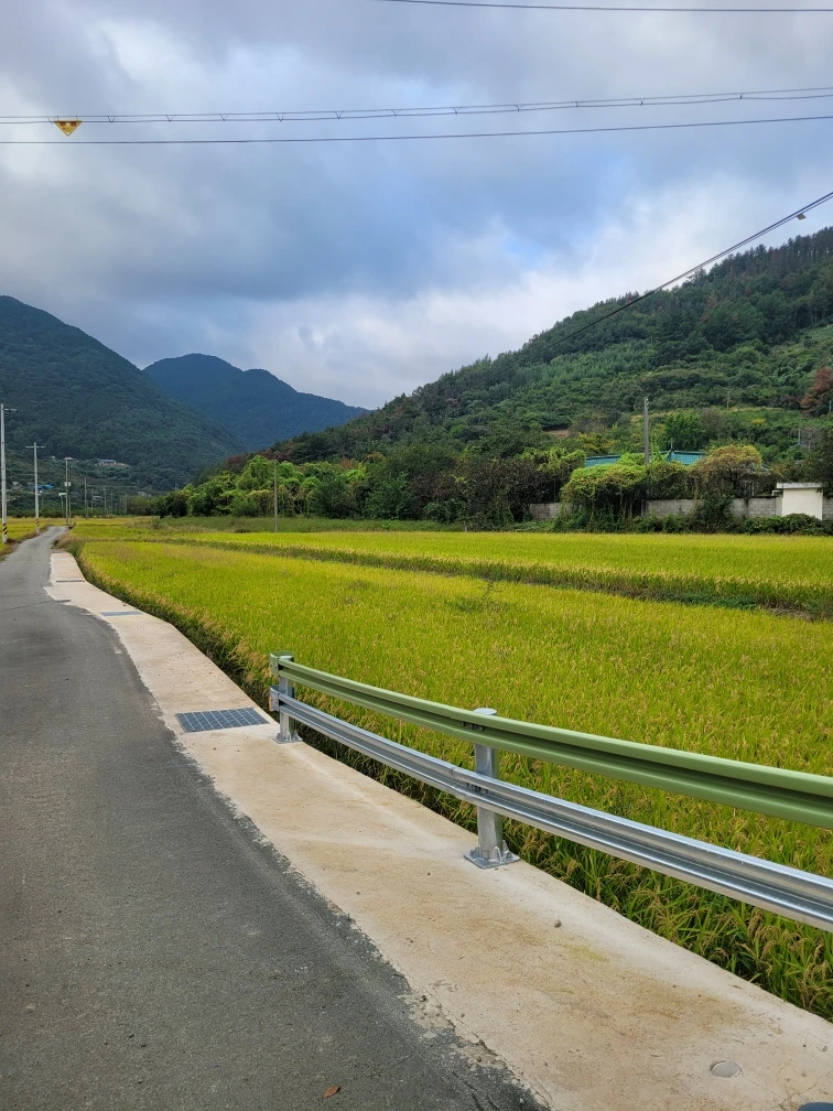 %EC%B2%AD%EB%8F%84_Resized_20251008_162510.jpg?type=w1